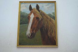 Portrait of a Horse. Oil on canvas. 20.5x17ins