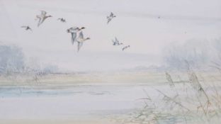 Jason Partner (British 20C), Mallards over Water. Watercolour, signed. 11x20ins