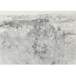 Anthony Gross (British 1905-1984), 'Winter Grasses, 1972', limited edition print, titled and