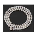 Cultured pearl necklace, a single row of uniformed beads, 7.56mm approx each to a 9ct gold cluster