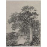 John Crome (British, 1768-1821) At Colney, Etching on paper. 9x7ins, mounted, unframed