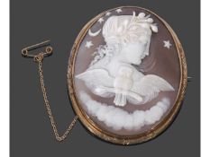 Victorian carved shell cameo brooch of oval form depicting the personification of Night, with