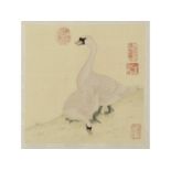 Chinese, 20th Century, A Pair of Mute Swans , Mixed media. 10x12ins