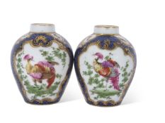 Pair of scale blue ground vases with panels of exotic birds in Worcester style, probably by