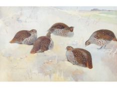 Frank Southgate RBA (British, 1872-1916), A Bevy of English Grey Partridges , Watercolour, signed.