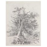 John Crome (British, 1768-1821) Tree Trunks and Lane, Softground etching, on paper. 8.5x7ins