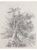 John Crome (British, 1768-1821) Tree Trunks and Lane, Softground etching, on paper. 8.5x7ins