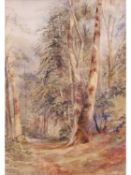 John Middleton (British, 1827-1856), Woodland, Banningham , Pencil, watercolour, unsigned, framed