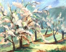 Sonia Harris (British, 1923-2018), Peach Blossom, Lebanon , Oil on canvas, signed. 23x25ins