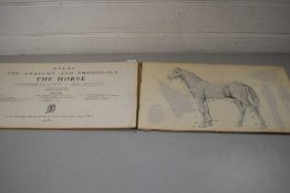 COPY OF BAILLIERS ATLAS OF THE HORSE, ITS ANATOMY AND PHYSIOLOGY
