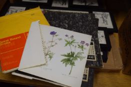 SKETCH BOOKS OF VARIOUS FLORAL STUDIES