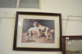 FRAMED PRINT OF A SPANIEL