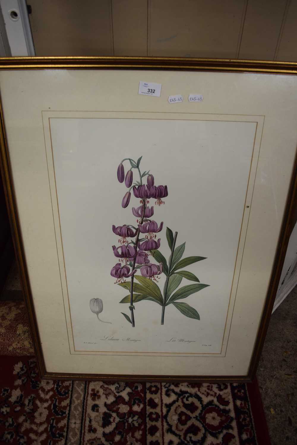 COLOURED BOTANICAL PRINT OF LILIES, F/G, 80CM WIDE