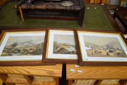 THREE LITHOGRAPHIC PRINTS - SOUTH AFRICA INTEREST - PORT ELIZABETH, GRAHAMSTOWN FROM THE BAY ROAD,