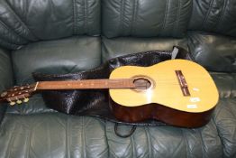 ACOUSTIC GUITAR WITH TRAVEL CASE