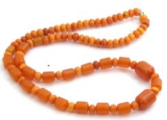 Amber bead necklace, a single row of butterscotch coloured graduated beads, drum and round shape,
