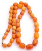 Butterscotch coloured amber bead necklace, a single row of graduated oval beads, 6-12mm diam, 23cm