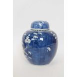 Chinese ginger jar and cover, the blue background with prunus design