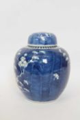 Chinese ginger jar and cover, the blue background with prunus design