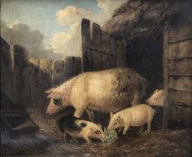 British School, 19th Century, A passel of pigs in a pen. Oil on canvas, unsigned.10.5 x 12.5ins