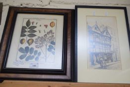 MIXED LOT COMPRISING A FRAMED BOTANICAL PRINT, TOGETHER WITH BLACK AND WHITE PRINT 'THE TURKS HEAD