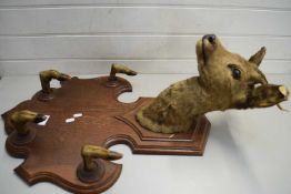NOVELTY COAT RACK FORMED FROM THE HEAD AND FEET OF A ROE DEER ON AN OAK BACK