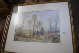 J STORER, STUDY OF A WOODLAND PATH, WATERCOLOUR, F/G