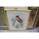 MIXED LOT VICTORIAN COLOURED PRINTS TO INCLUDE PEARS ADVERTISING PRINT AND OTHERS (5)