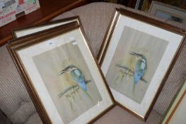 QUANTITY OF FRAMED PRINTS OF KINGFISHERS