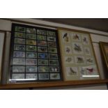 FRAMED CIGARETTE CARDS WITH BUTTERFLIES AND FURTHER SMALL EMBROIDERIES OF BIRDS