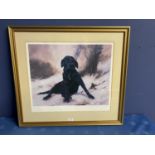 John Trickett a signed framed art print study of a black Labrador, 43 x 51cm