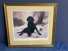 John Trickett a signed framed art print study of a black Labrador, 43 x 51cm