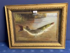 Gilt framed oil painting study of a pike rising from a river, 26 x 39cm