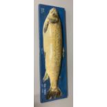 Plastercast mounted Sea Trout titled Loch Dionard 15lbs 10oz SLH 24 VIII 67 87cm long overall (