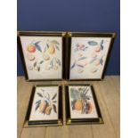 2 pairs of framed and glazed decorative botanical fruit prints (condition - the larger pair faded)