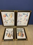 2 pairs of framed and glazed decorative botanical fruit prints (condition - the larger pair faded)