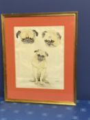 Framed and glazed ink & pencil/mixed media study of Pug dogs, signed lower right MAD, overall size