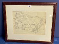 Smeaton Chase? 1954 pencil equine study of a cart horse in a meadow, signed and dated, 26 x 35cm