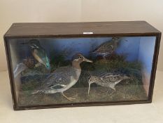 Good quality 19th century display case of taxidermy Woodcock, EIder duck and Kingfisher