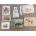 C19th collection of watercolour pen and pencil wildlife studies, Equine livestock bird and