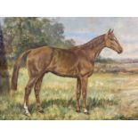 Pair of oil on canvas, Hunter in Stable, Hunter at Grass, signed W Wasdell Trickett 1923 & 1929 (