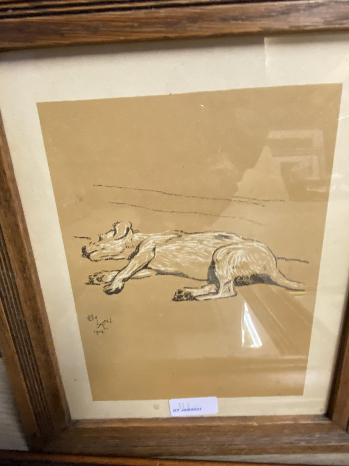 Four early C20th framed Cecil Aldin dog book plates - Image 3 of 5