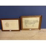 2 framed and glazed pictures of cattle