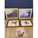 Pair framed and glazed modern coloured prints of an old short horn bull and a cow (overall 68 x 82