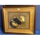 Oak framed oil painting study of a Ram and Ewe 30 x 38cm