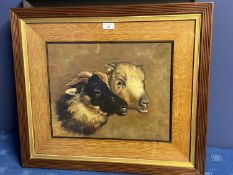 Oak framed oil painting study of a Ram and Ewe 30 x 38cm