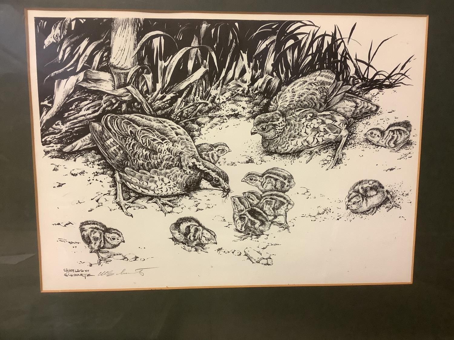 After Charles Schwartz Set of 3 black and white prints "partridges, ducks & racoons" each signed - Image 3 of 5