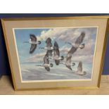After Charles Schwartz coloured print "Canada Geese in flight" signed in pencil on mount 50 x 67