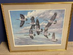 After Charles Schwartz coloured print "Canada Geese in flight" signed in pencil on mount 50 x 67