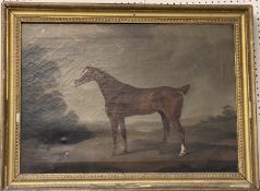 CHARLES BRANSCOMBE (ACT 1803-1819) Oil on canvas "Chestnut hunter and fox. Signed lower right